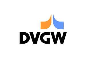 Dvgw Logo